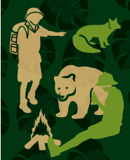 การสำรวจข้อมูลเงา